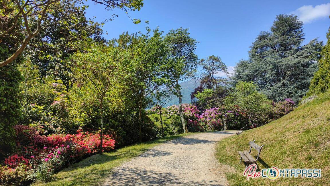 Parco della Burcina Rododendri