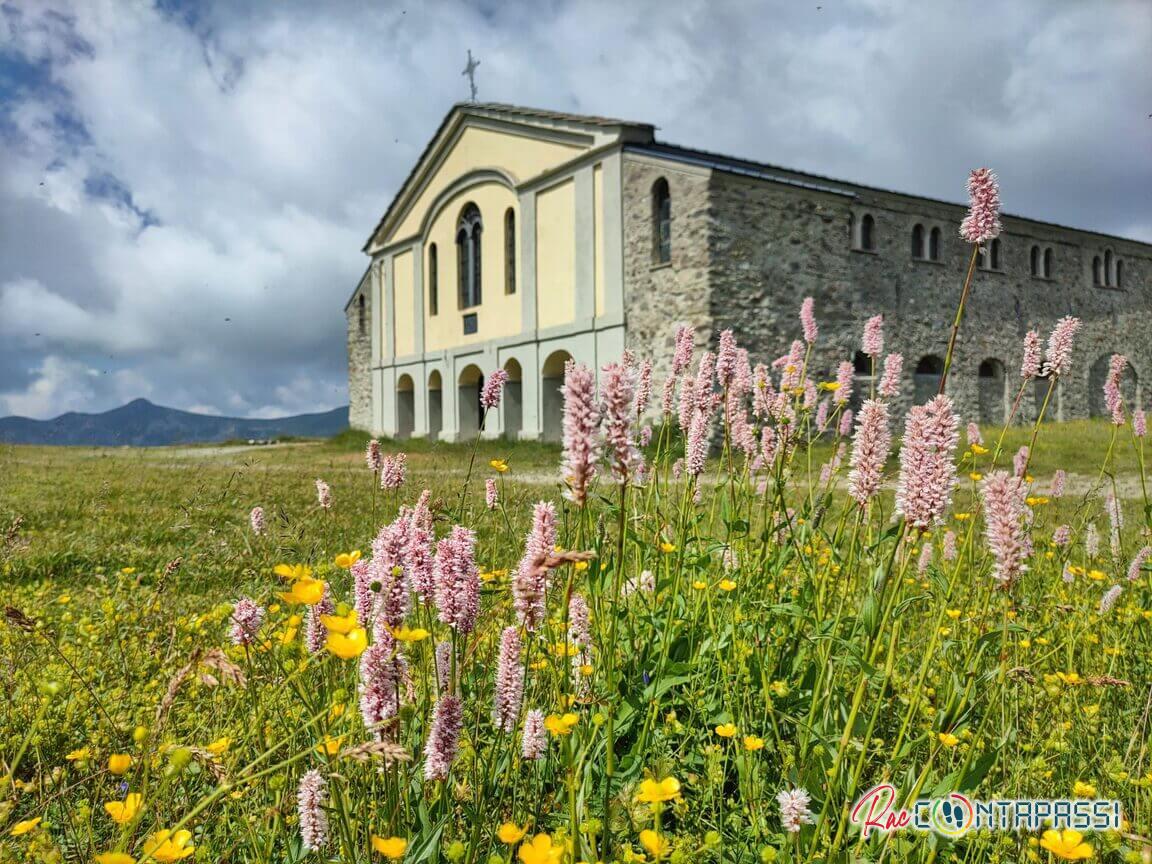 colle-colombardo