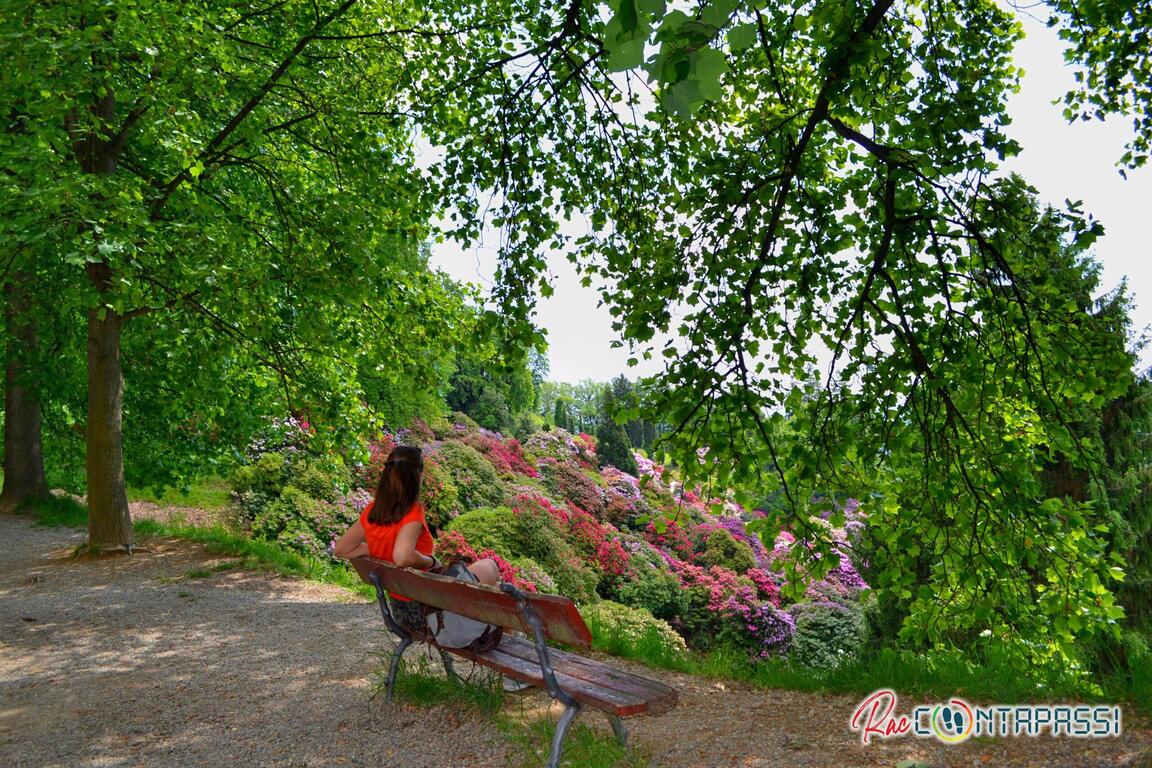 Parco della Burcina Rododendri
