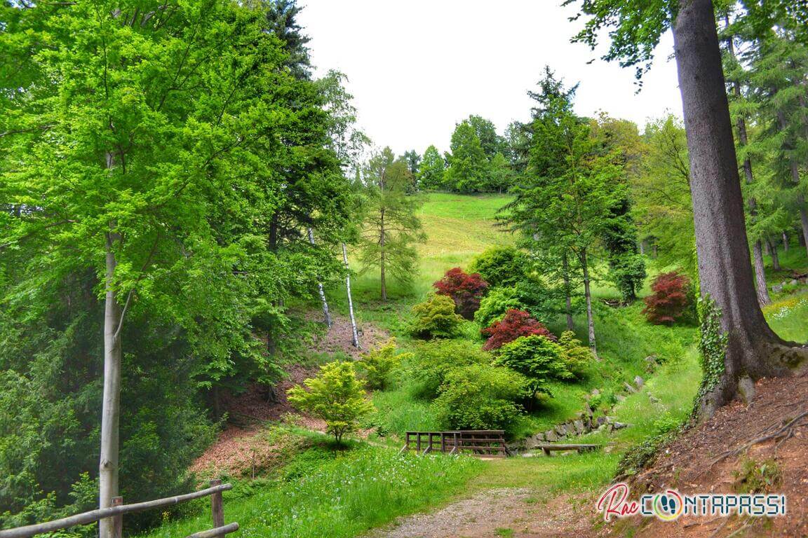 Parco della Burcina Rododendri