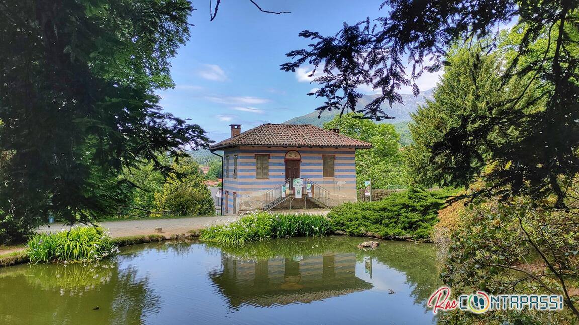 Parco della Burcina Rododendri