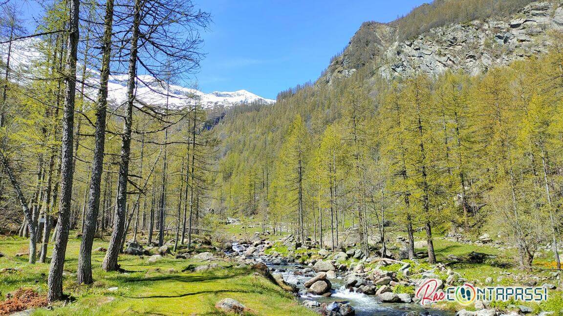 Balme-Laghi-Verdi-Bivacco-Gandolfo-Lago-Paschiet