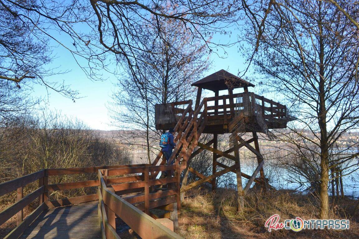 lago-viverone