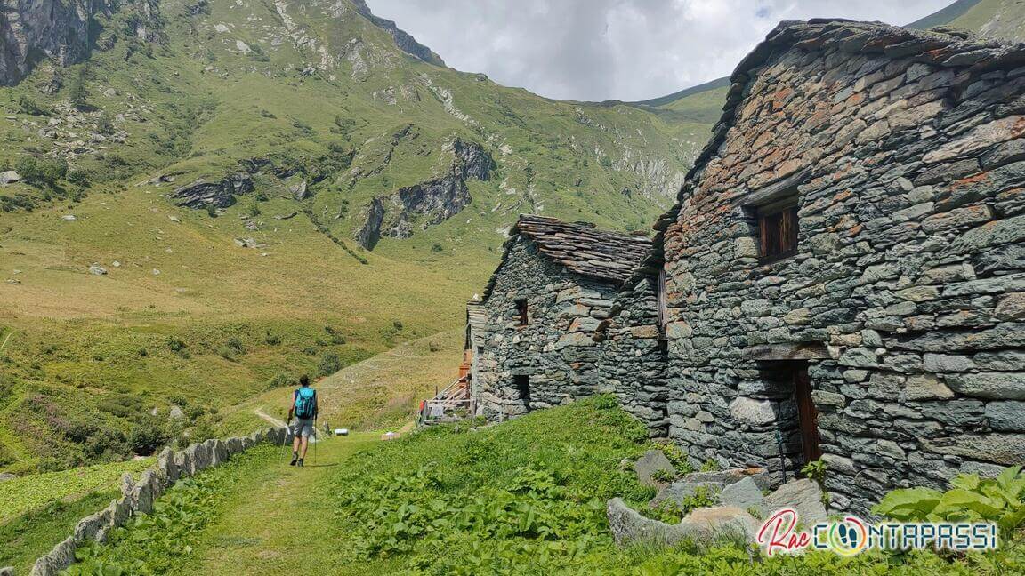 passo-foric