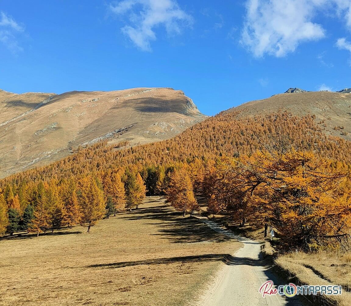 foliage-prov-torino