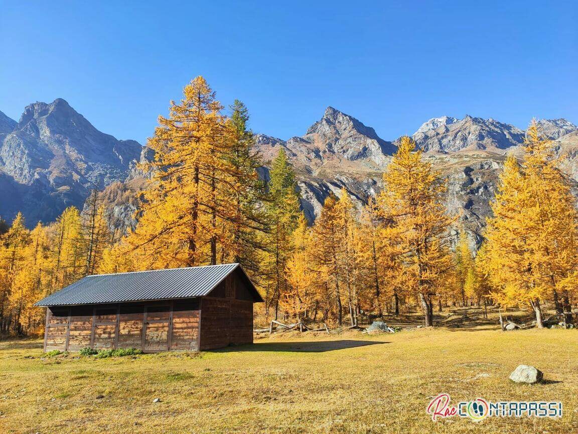 foliage-provincia-torino-