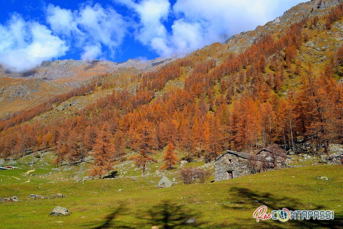 foliage-provincia-torino