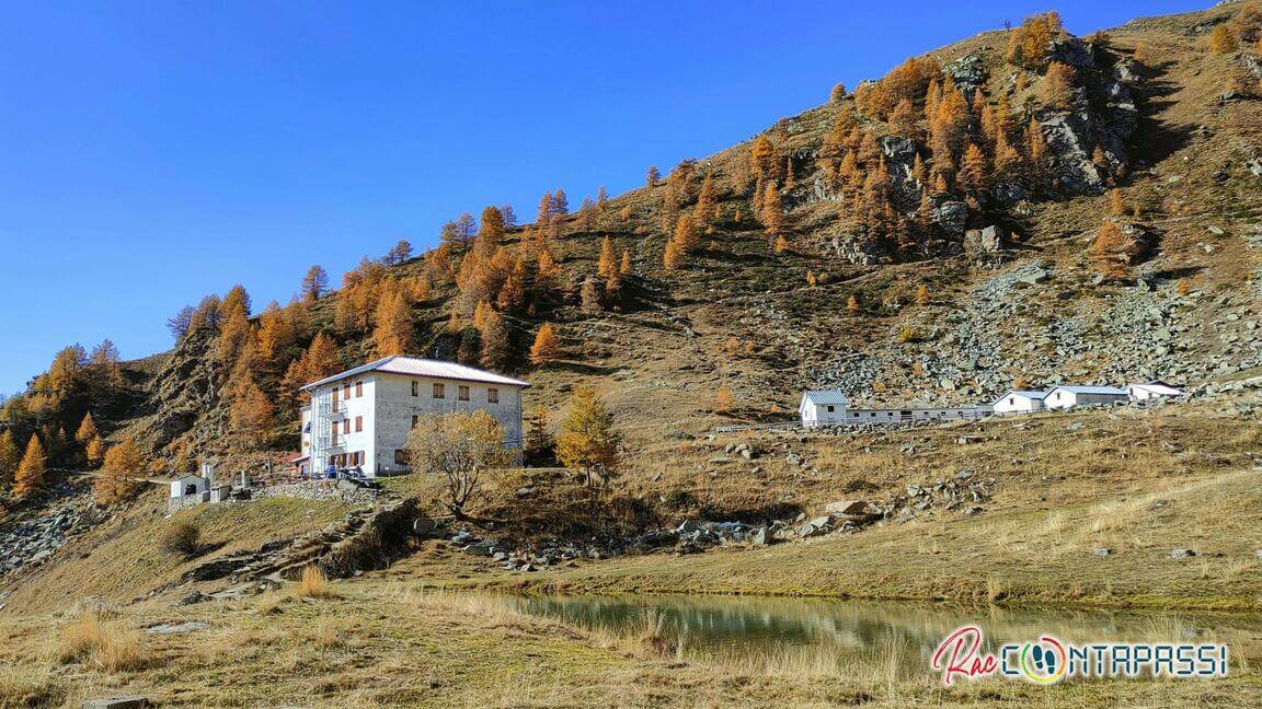 lago-laus-selleries