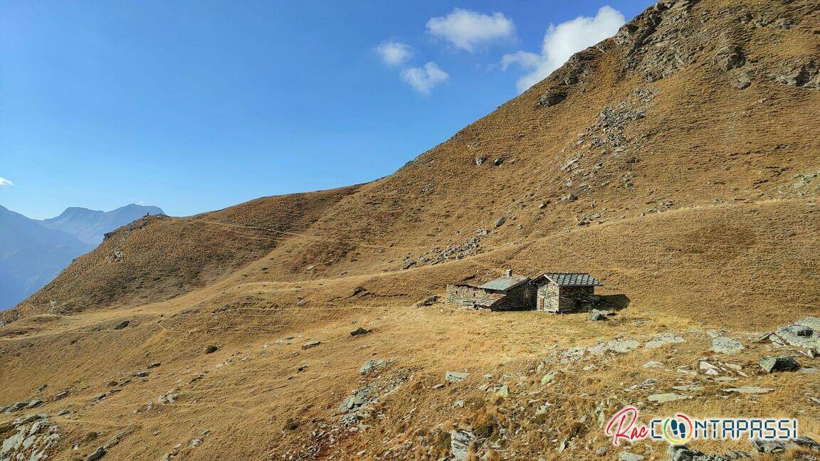 lago-laus-selleries