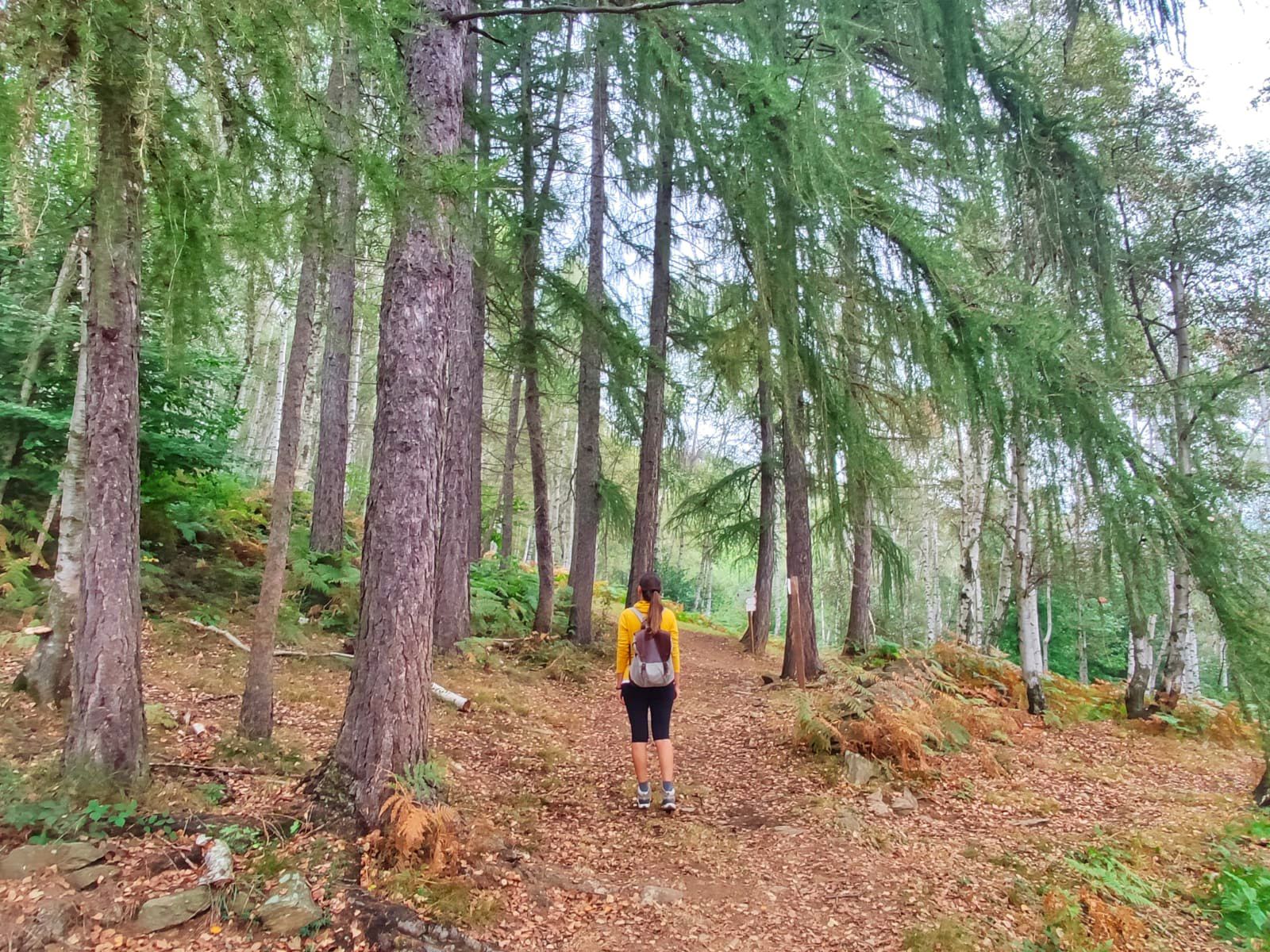 trekking-facili-piemonte