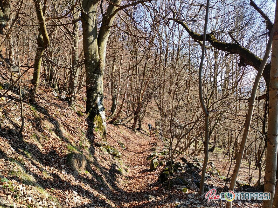 monte-sapei-celle