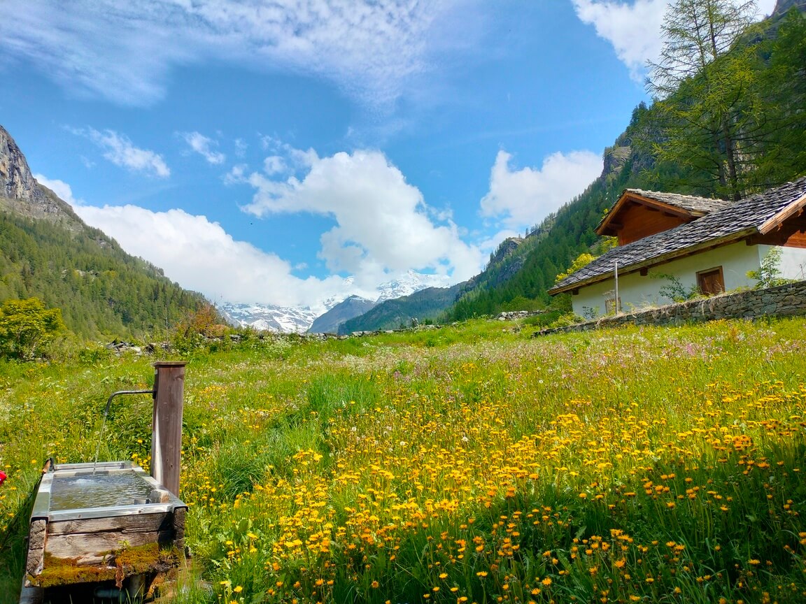 anello-walser-alpenzù (11)