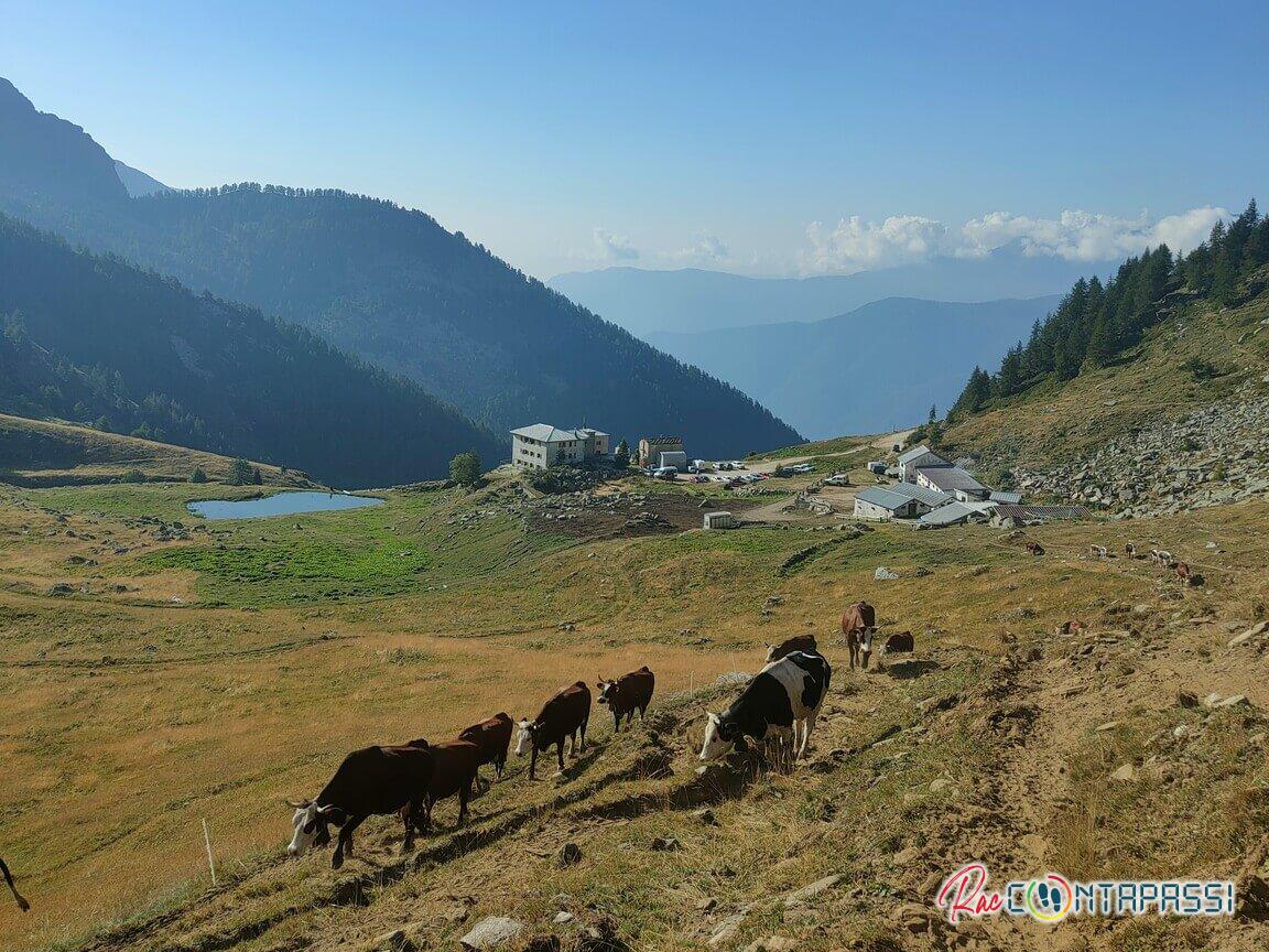 lago-ciardonnet-orsiera