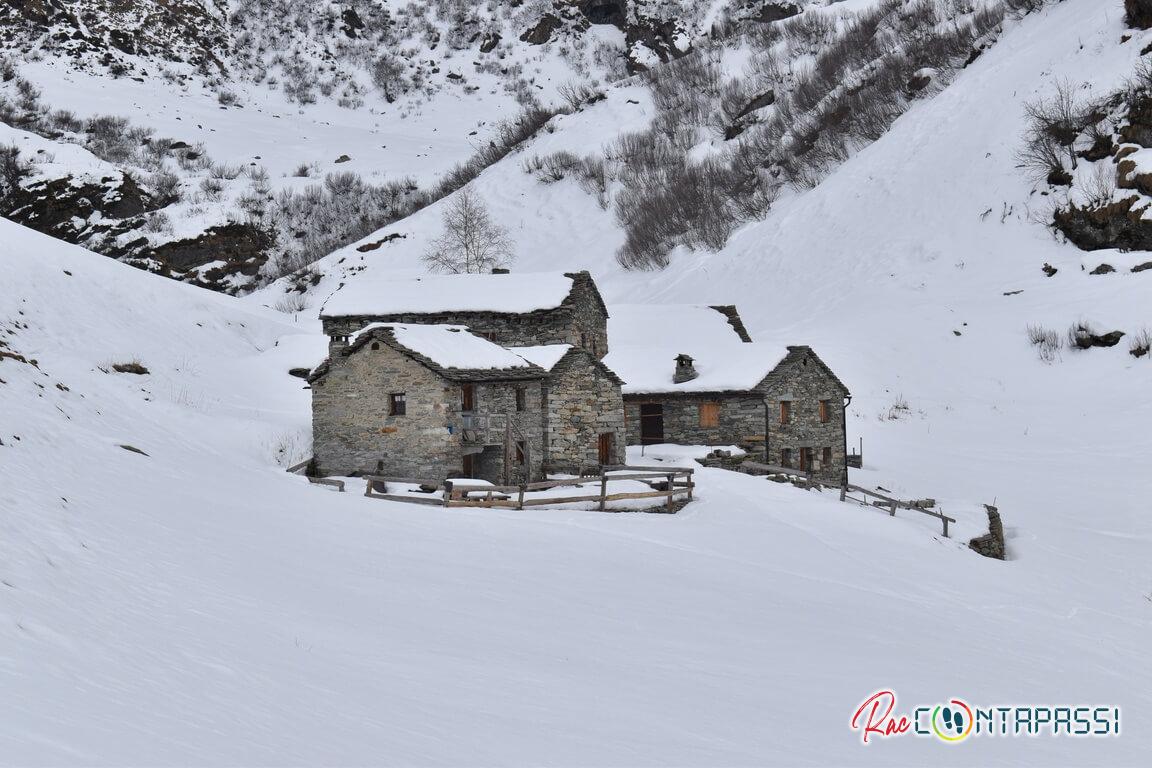 alpe-campo-alagna-valsesia