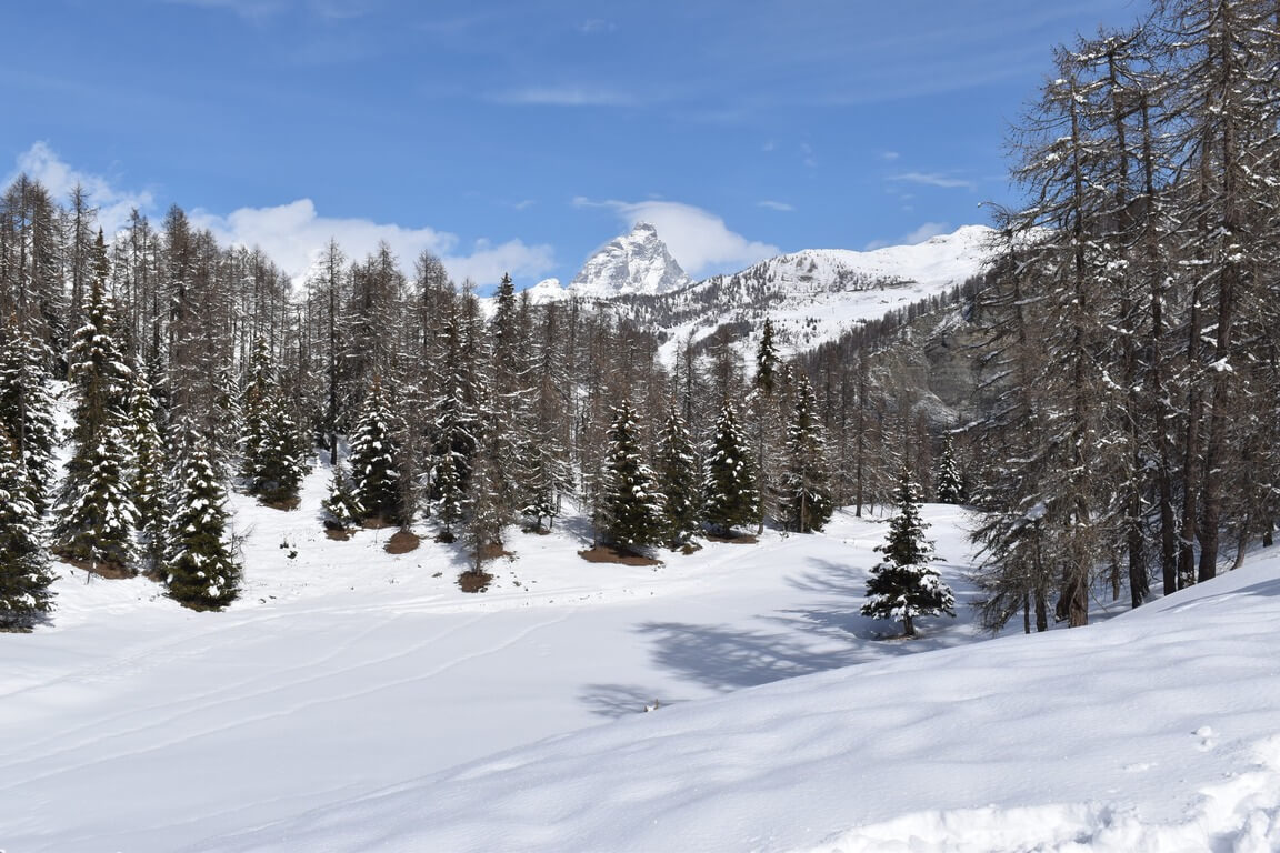 anello-magdeleine-chamois