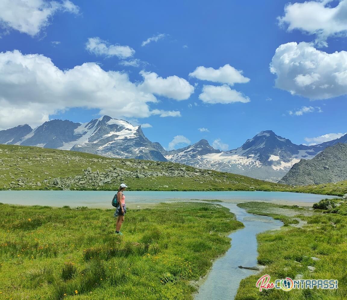 plan borgno paradiso